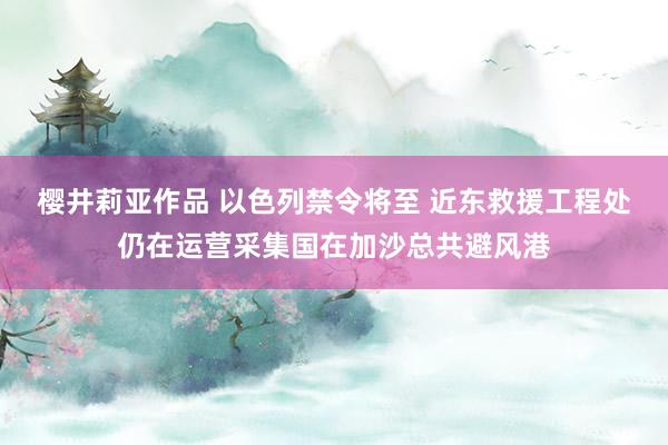 樱井莉亚作品 以色列禁令将至 近东救援工程处仍在运营采集国在加沙总共避风港