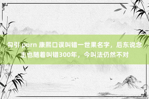 勾引 porn 康熙口误叫错一世果名字，后东说念主也随着叫错300年，今叫法仍然不对