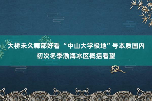 大桥未久哪部好看 “中山大学极地”号本质国内初次冬季渤海冰区概括看望