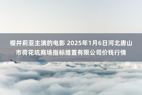 樱井莉亚主演的电影 2025年1月6日河北唐山市荷花坑商场指标措置有限公司价钱行情