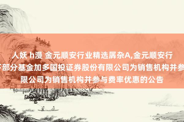 人妖 h漫 金元顺安行业精选羼杂A,金元顺安行业精选羼杂C: 旗下部分基金加多国投证券股份有限公司为销售机构并参与费率优惠的公告