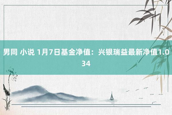 男同 小说 1月7日基金净值：兴银瑞益最新净值1.034
