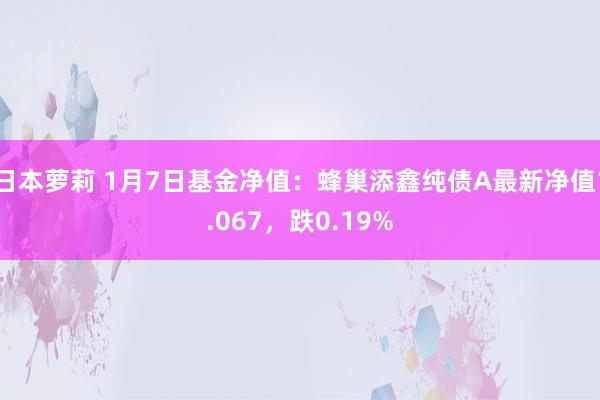 日本萝莉 1月7日基金净值：蜂巢添鑫纯债A最新净值1.067，跌0.19%