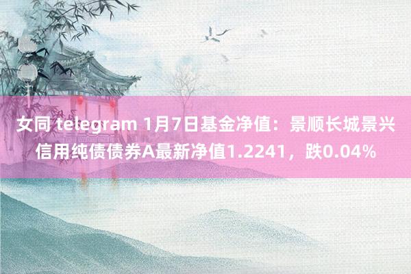 女同 telegram 1月7日基金净值：景顺长城景兴信用纯债债券A最新净值1.2241，跌0.04%