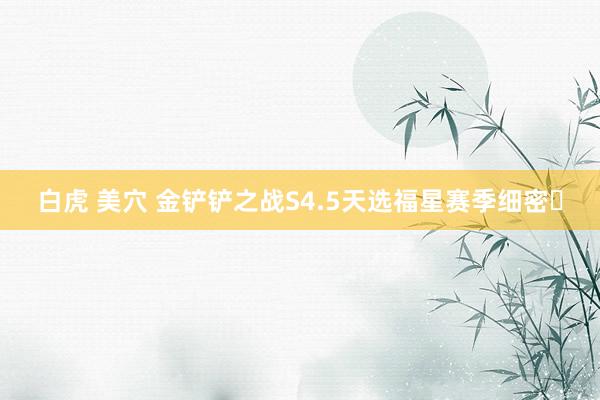 白虎 美穴 金铲铲之战S4.5天选福星赛季细密️
