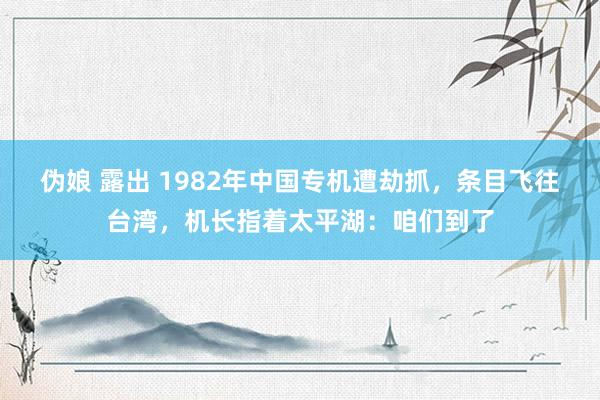 伪娘 露出 1982年中国专机遭劫抓，条目飞往台湾，机长指着太平湖：咱们到了