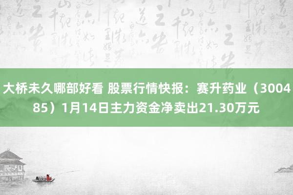 大桥未久哪部好看 股票行情快报：赛升药业（300485）1月14日主力资金净卖出21.30万元