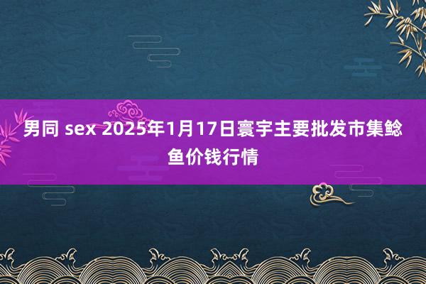 男同 sex 2025年1月17日寰宇主要批发市集鲶鱼价钱行情