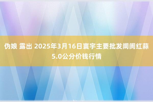 伪娘 露出 2025年3月16日寰宇主要批发阛阓红蒜5.0公分价钱行情