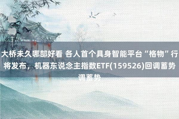 大桥未久哪部好看 各人首个具身智能平台“格物”行将发布，机器东说念主指数ETF(159526)回调蓄势