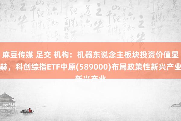 麻豆传媒 足交 机构：机器东说念主板块投资价值显赫，科创综指ETF中原(589000)布局政策性新兴产业