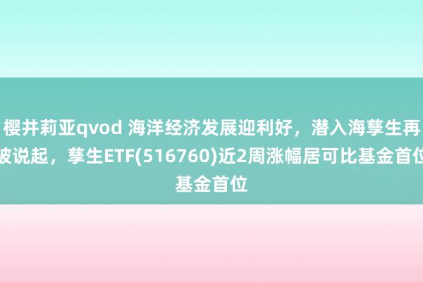 樱井莉亚qvod 海洋经济发展迎利好，潜入海孳生再被说起，孳生ETF(516760)近2周涨幅居可比基金首位