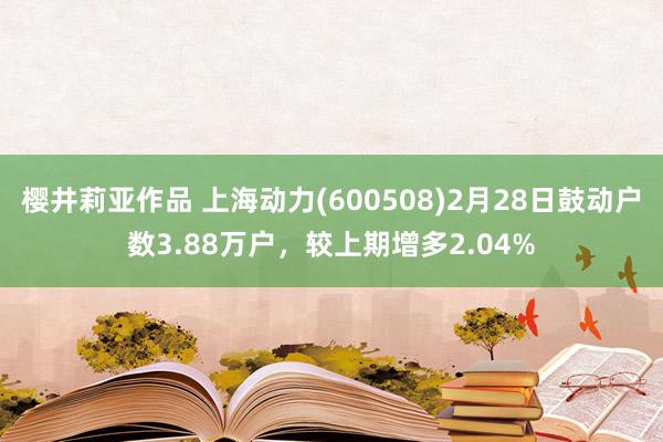 樱井莉亚作品 上海动力(600508)2月28日鼓动户数3.88万户，较上期增多2.04%