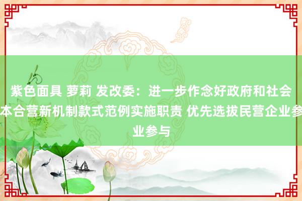 紫色面具 萝莉 发改委：进一步作念好政府和社会成本合营新机制款式范例实施职责 优先选拔民营企业参与
