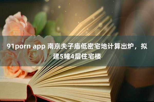 91porn app 南京夫子庙低密宅地计算出炉，拟建5幢4层住宅楼