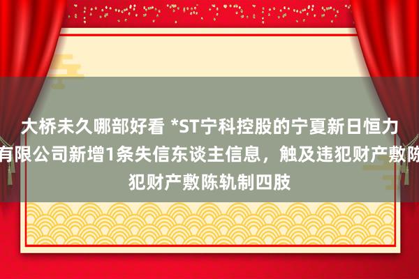 大桥未久哪部好看 *ST宁科控股的宁夏新日恒力国外生意有限公司新增1条失信东谈主信息，触及违犯财产敷陈轨制四肢