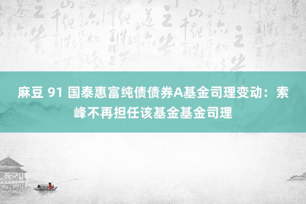 麻豆 91 国泰惠富纯债债券A基金司理变动：索峰不再担任该基金基金司理