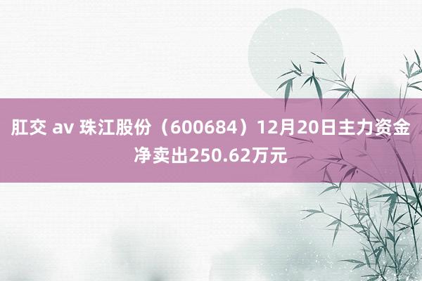 肛交 av 珠江股份(600684)12月20日主力资金净卖出250.62万元