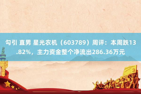 勾引 直男 星光农机（603789）周评：本周跌13.82%，主力资金整个净流出286.36万元