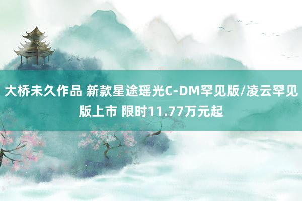 大桥未久作品 新款星途瑶光C-DM罕见版/凌云罕见版上市 限时11.77万元起