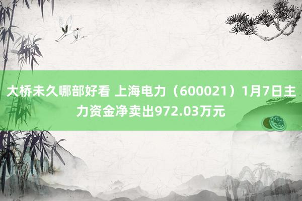 大桥未久哪部好看 上海电力（600021）1月7日主力资金净卖出972.03万元