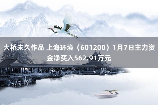 大桥未久作品 上海环境（601200）1月7日主力资金净买入562.91万元