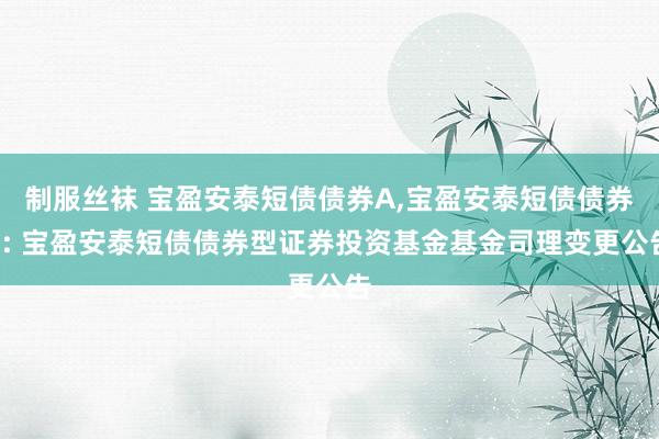 制服丝袜 宝盈安泰短债债券A,宝盈安泰短债债券C: 宝盈安泰短债债券型证券投资基金基金司理变更公告