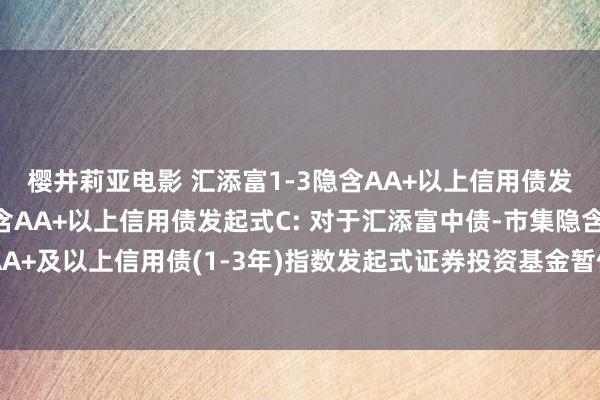 樱井莉亚电影 汇添富1-3隐含AA+以上信用债发起式A,汇添富1-3隐含AA+以上信用债发起式C: 对于汇添富中债-市集隐含评级AA+及以上信用债(1-3年)指数发起式证券投资基金暂停大额申购、诊治转入业务的公告