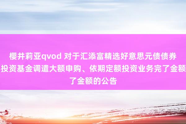 樱井莉亚qvod 对于汇添富精选好意思元债债券型证券投资基金调遣大额申购、依期定额投资业务完了金额的公告