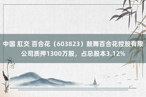 中国 肛交 百合花（603823）鼓舞百合花控股有限公司质押1300万股，占总股本3.12%