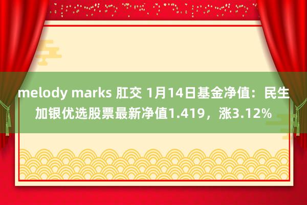 melody marks 肛交 1月14日基金净值：民生加银优选股票最新净值1.419，涨3.12%