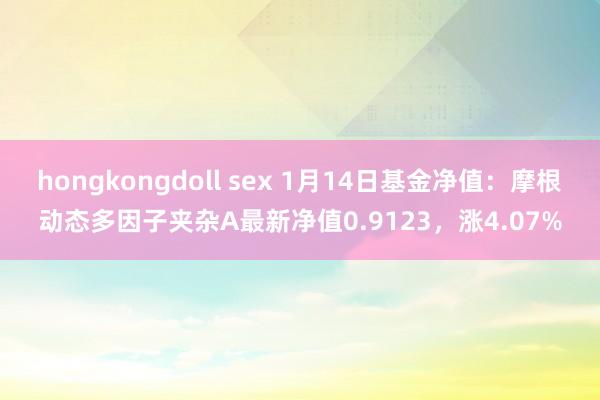 hongkongdoll sex 1月14日基金净值：摩根动态多因子夹杂A最新净值0.9123，涨4.07%