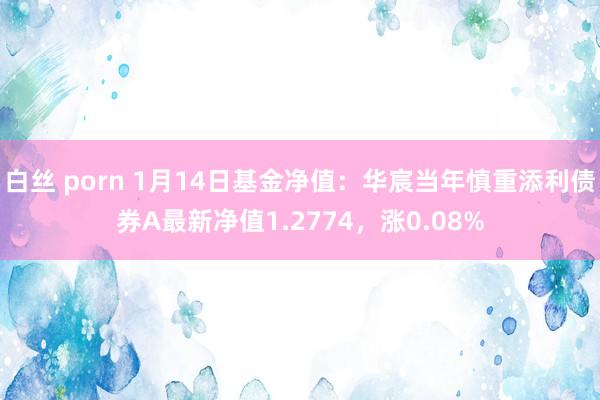 白丝 porn 1月14日基金净值：华宸当年慎重添利债券A最新净值1.2774，涨0.08%