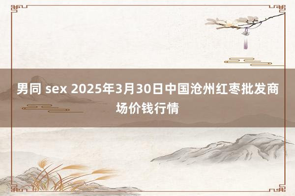 男同 sex 2025年3月30日中国沧州红枣批发商场价钱行情