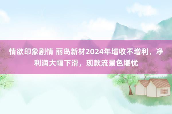 情欲印象剧情 丽岛新材2024年增收不增利，净利润大幅下滑，现款流景色堪忧