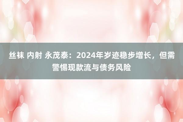 丝袜 内射 永茂泰：2024年岁迹稳步增长，但需警惕现款流与债务风险