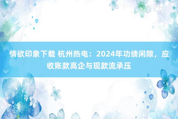 情欲印象下载 杭州热电：2024年功绩闲隙，应收账款高企与现款流承压