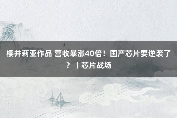 樱井莉亚作品 营收暴涨40倍！国产芯片要逆袭了？丨芯片战场