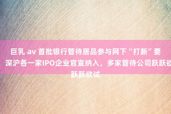 巨乳 av 首批银行管待居品参与网下“打新”要来，深沪各一家IPO企业官宣纳入，多家管待公司跃跃欲试