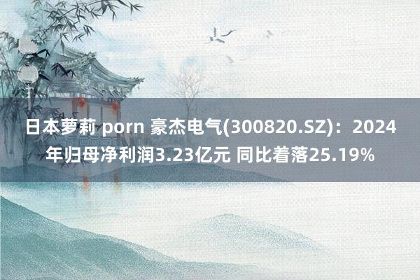 日本萝莉 porn 豪杰电气(300820.SZ)：2024年归母净利润3.23亿元 同比着落25.19%