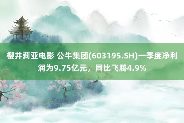 樱井莉亚电影 公牛集团(603195.SH)一季度净利润为9.75亿元，同比飞腾4.9%